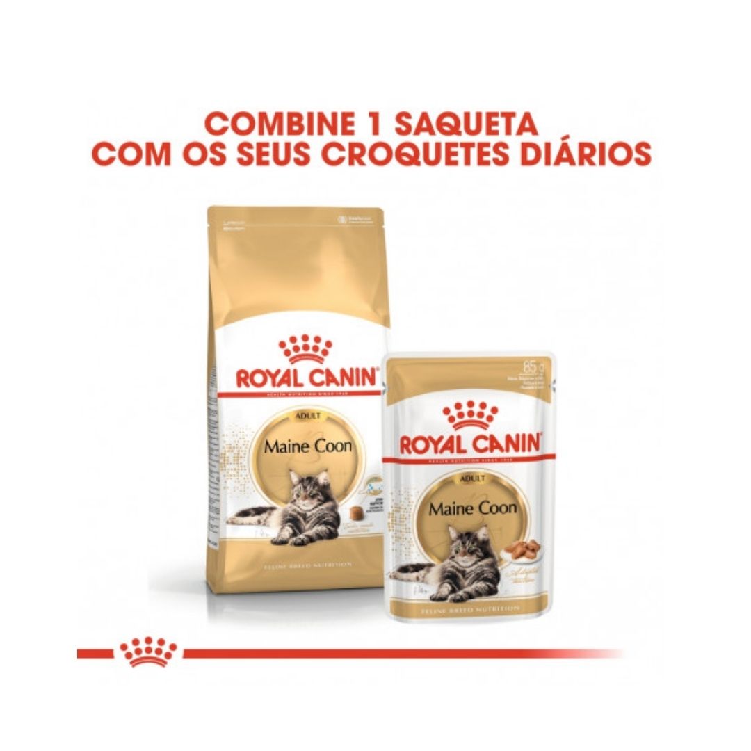 RCMAINECO004