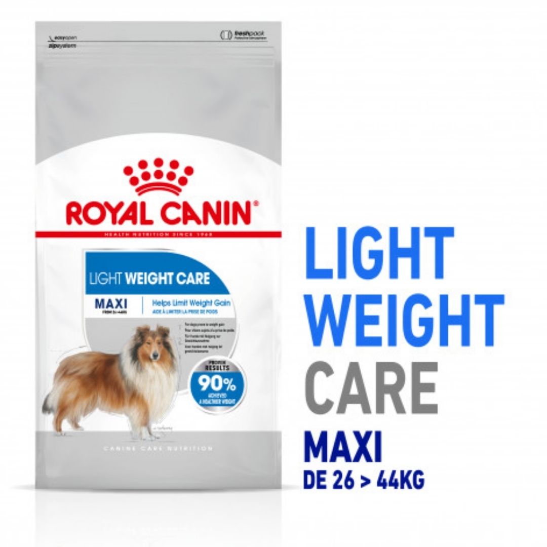 RCMAXILI03