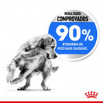 RCMAXILI03