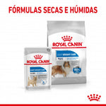 RCMAXILI03