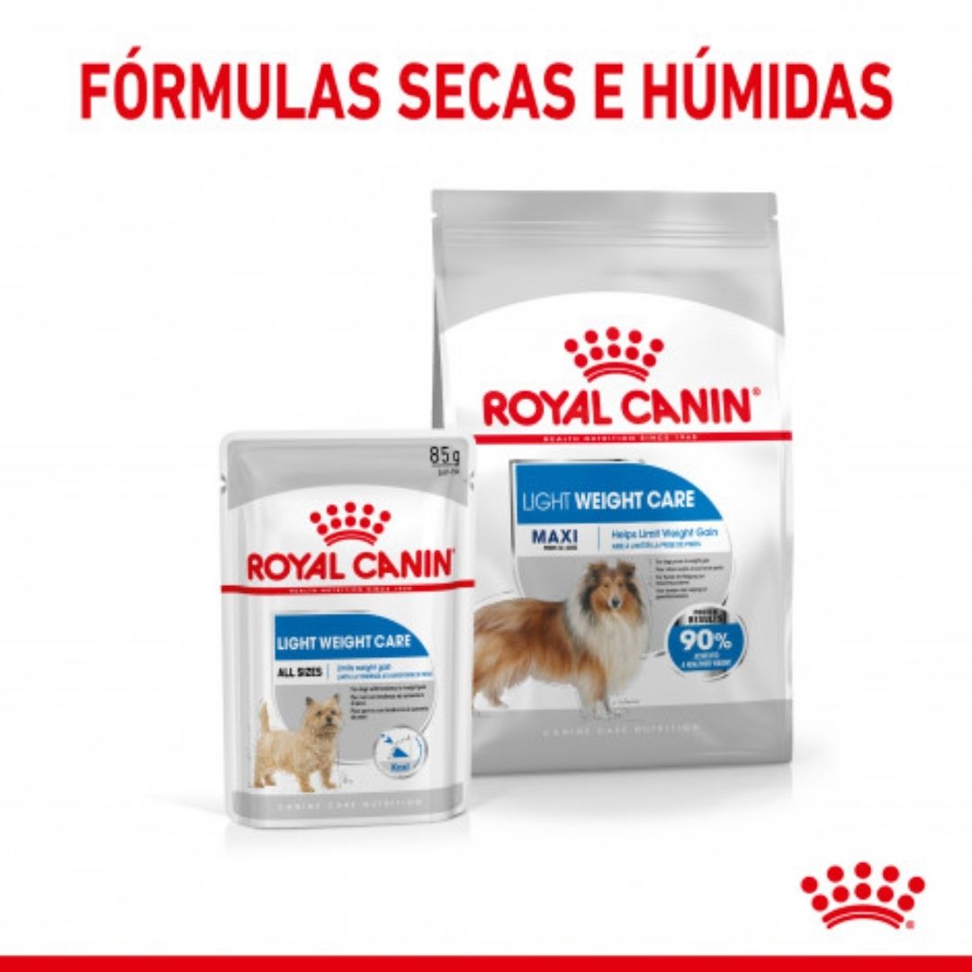 RCMAXILI03