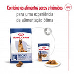 RCMAXINA04