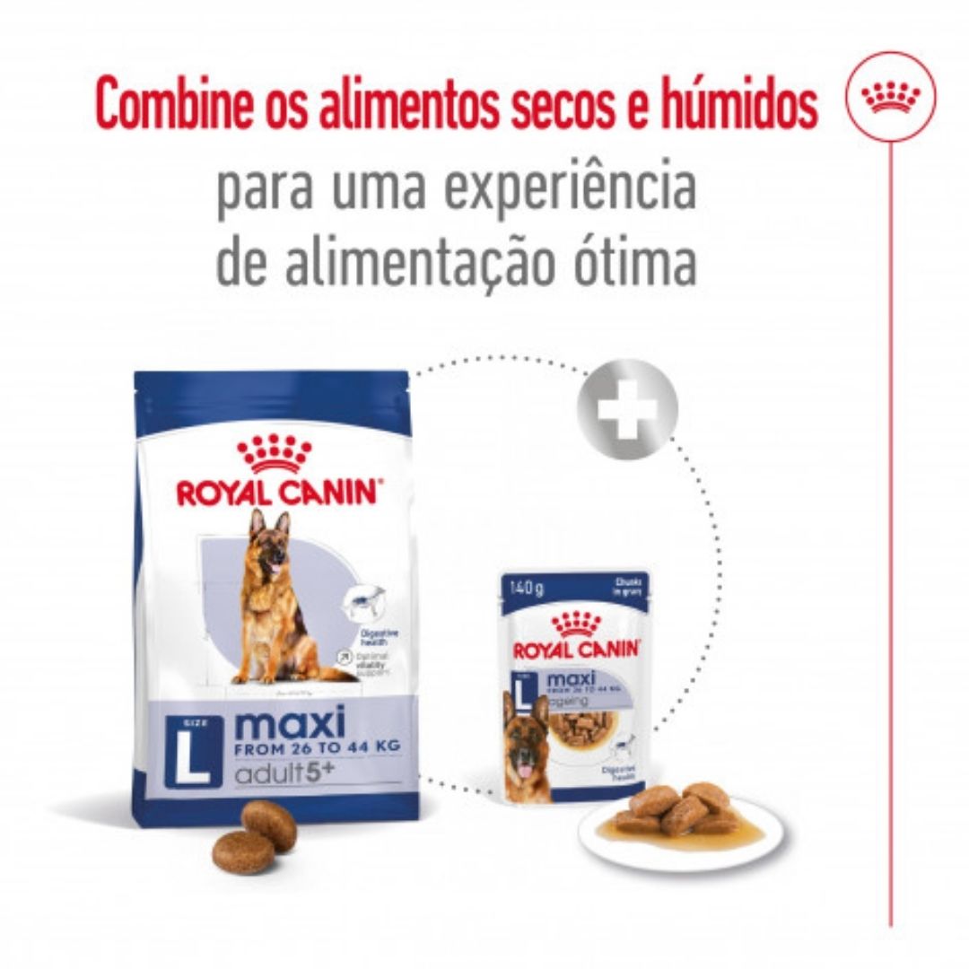RCMAXINA04