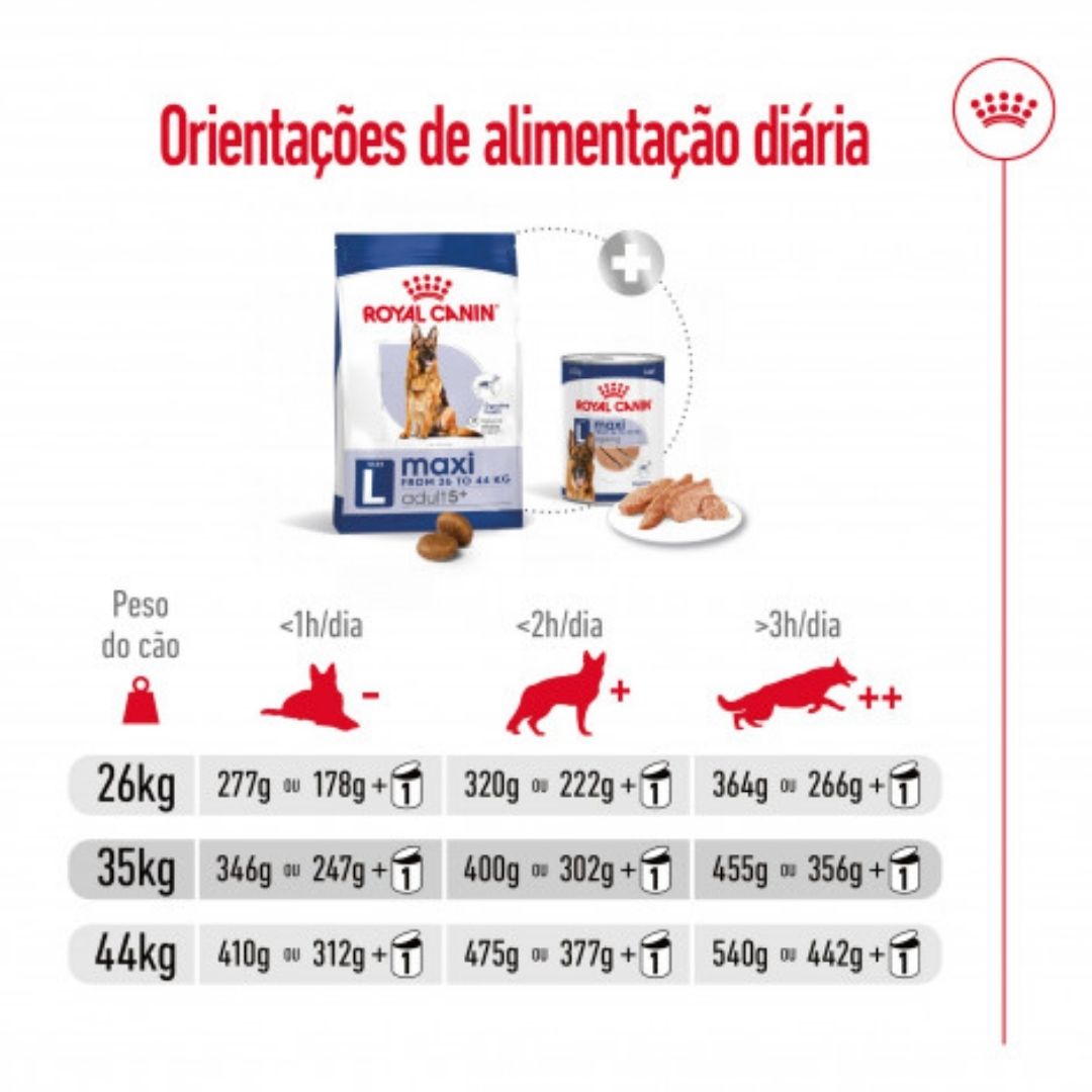 RCMAXINA04