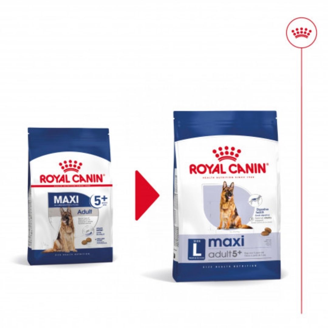 RCMAXINA04