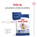 RCMAXINA04