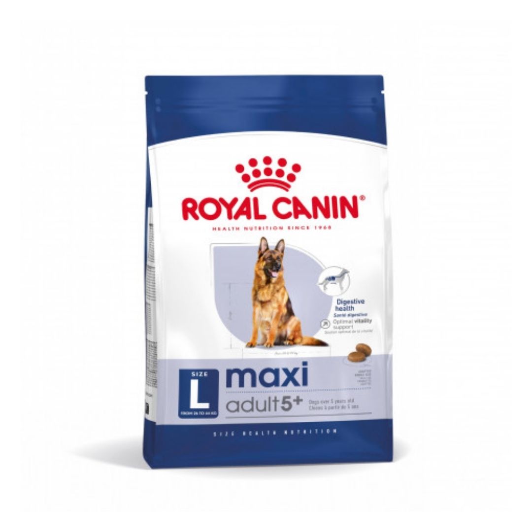 RCMAXINA04