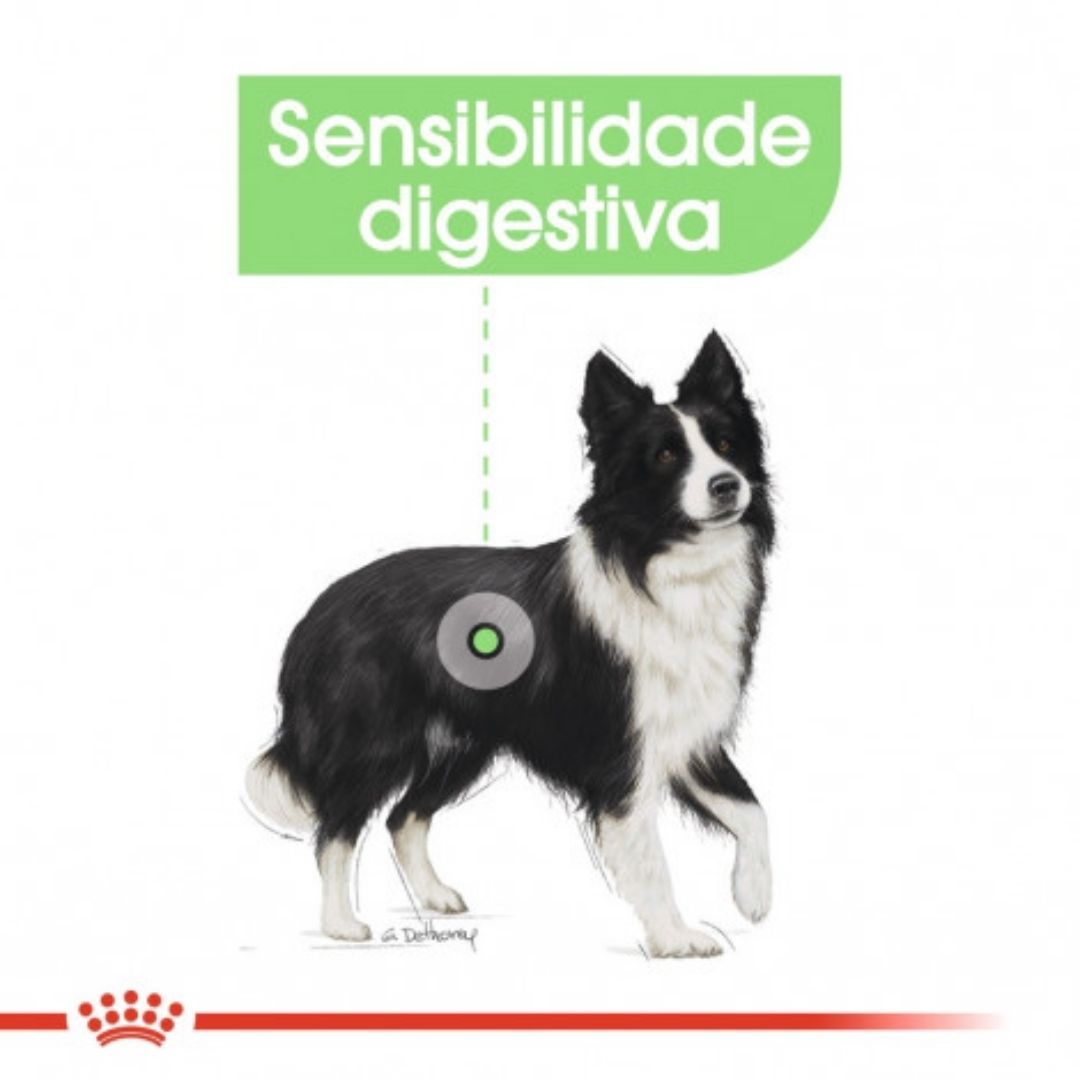 RCMEDDIG3