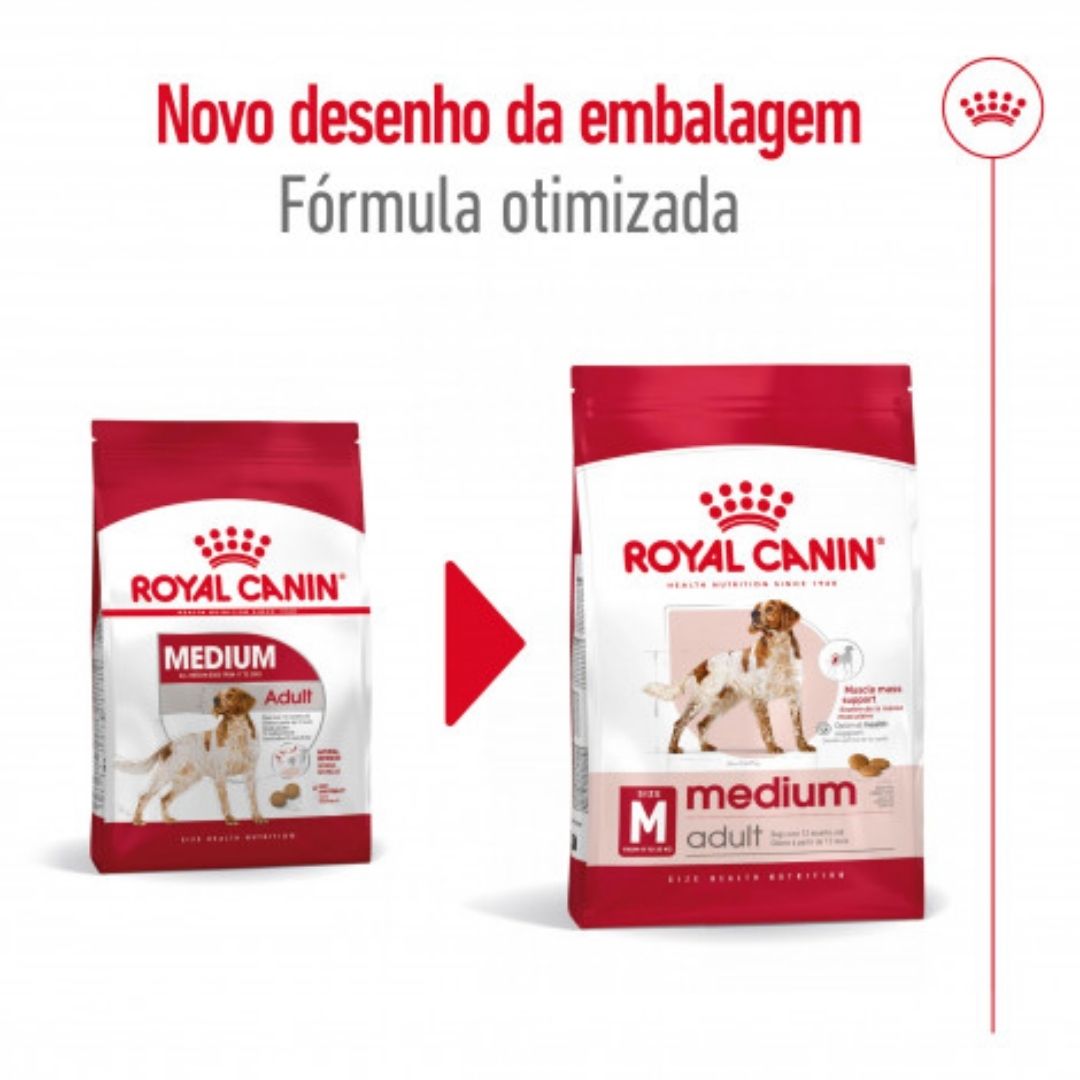 RCMEDIUMAD04