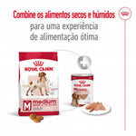 RCMEDIUMAD04