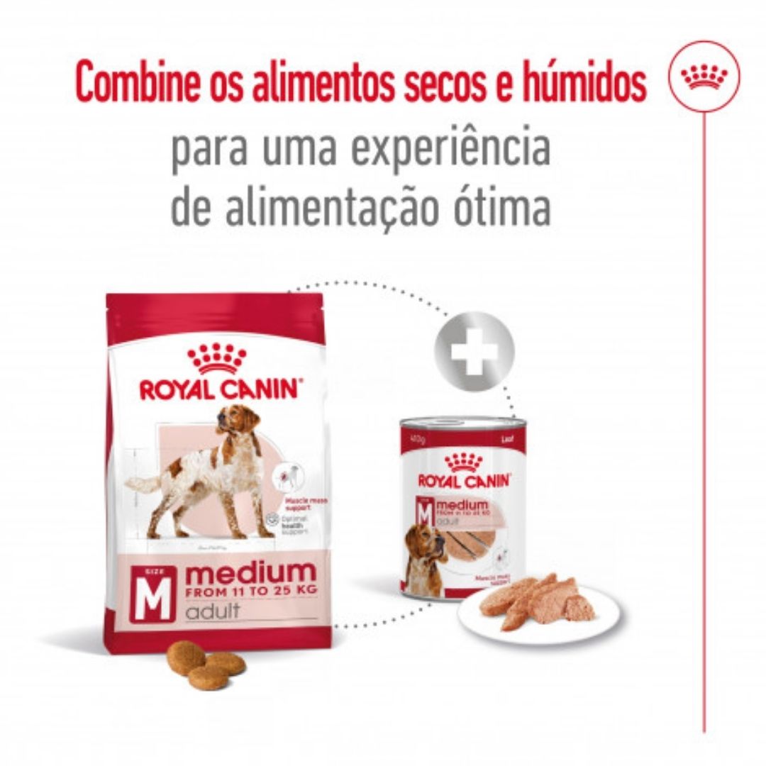 RCMEDIUMAD04