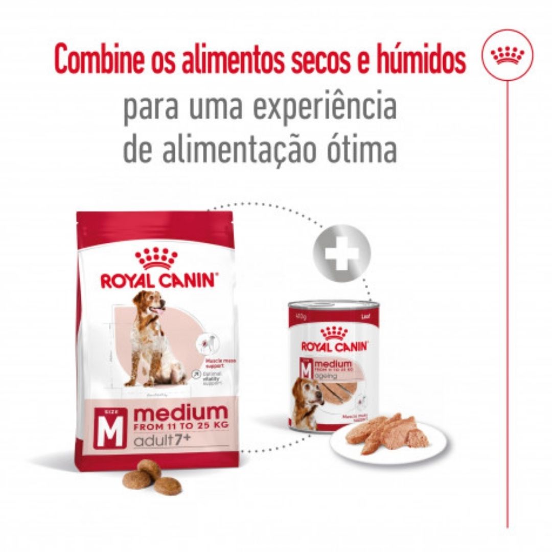 RCMEDIUMNA04