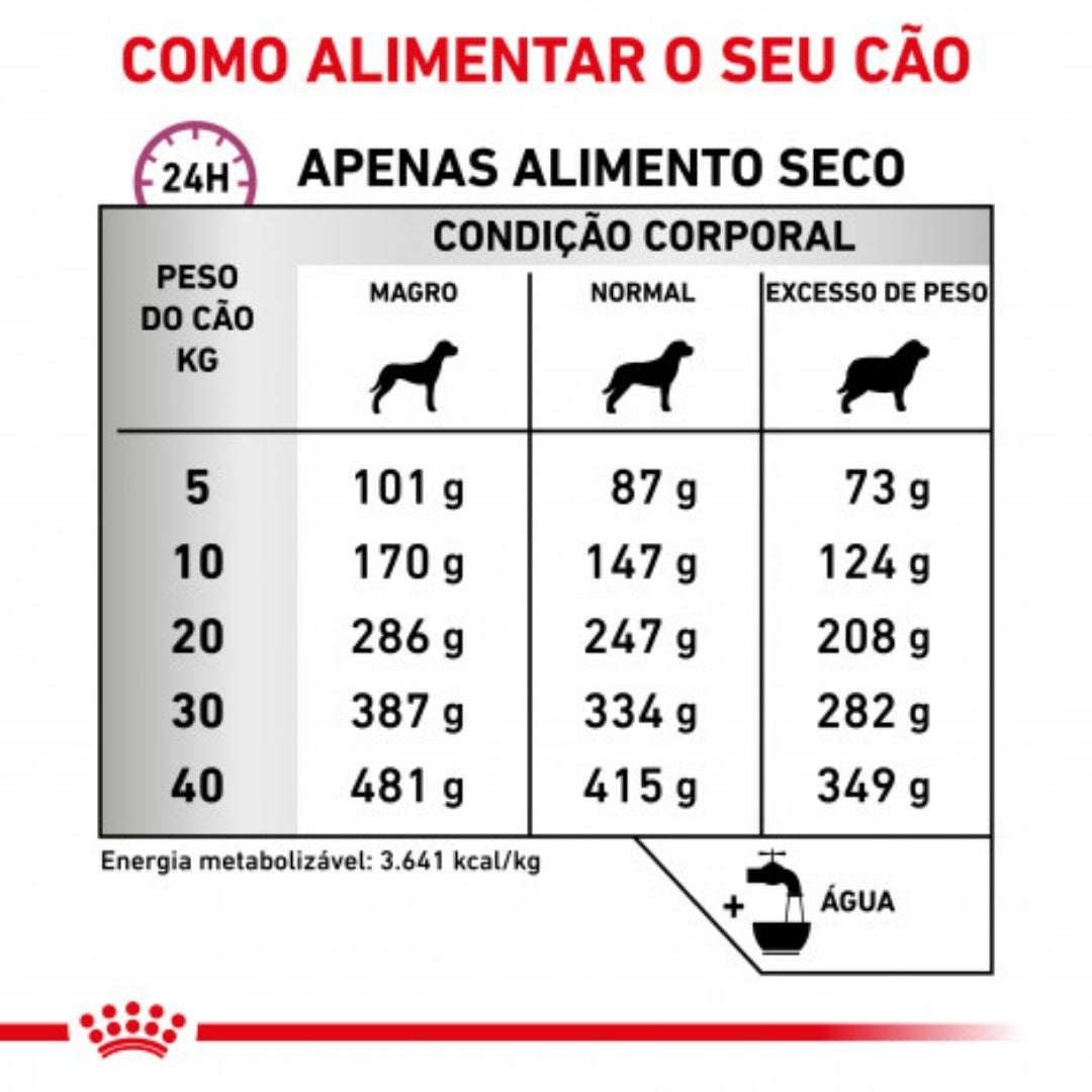 RCMOB02