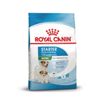 RCMSTR1
