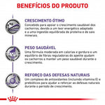 RCNEJU10