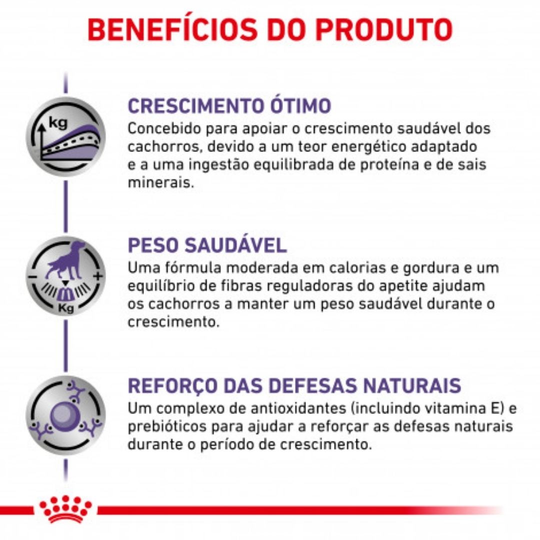RCNEJU10