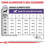 RCNEJU10