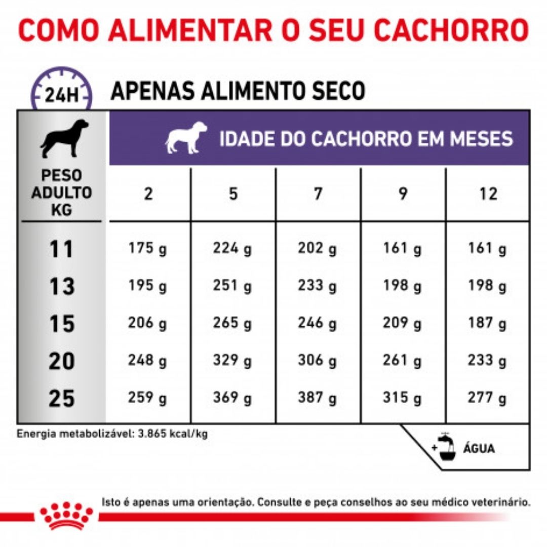 RCNEJU10