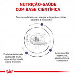 RCNEJULD012