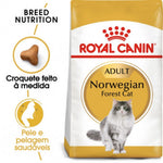 RCNOR2KG