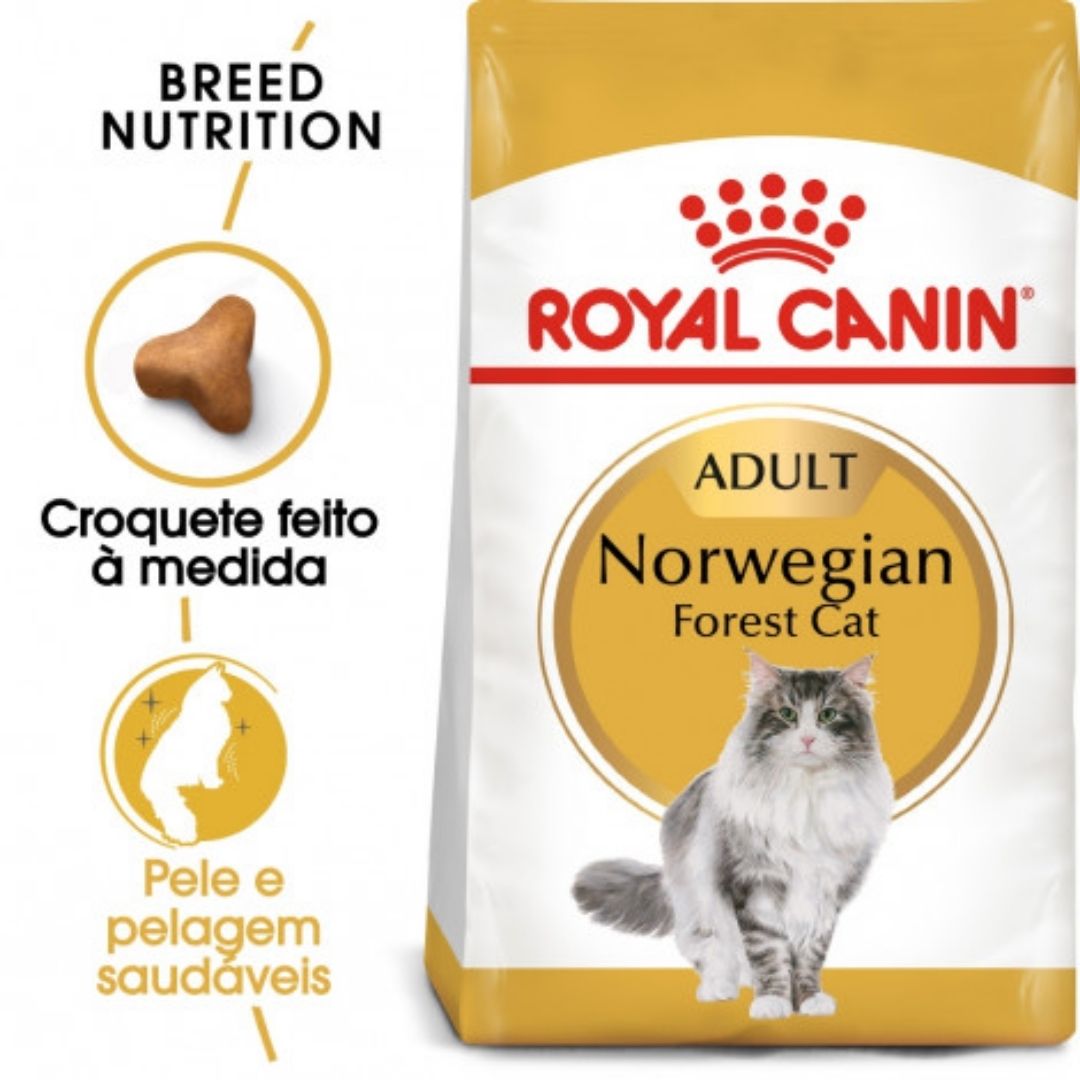 RCNOR2KG