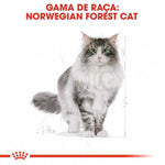 RCNOR2KG