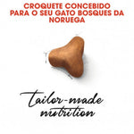 RCNOR2KG