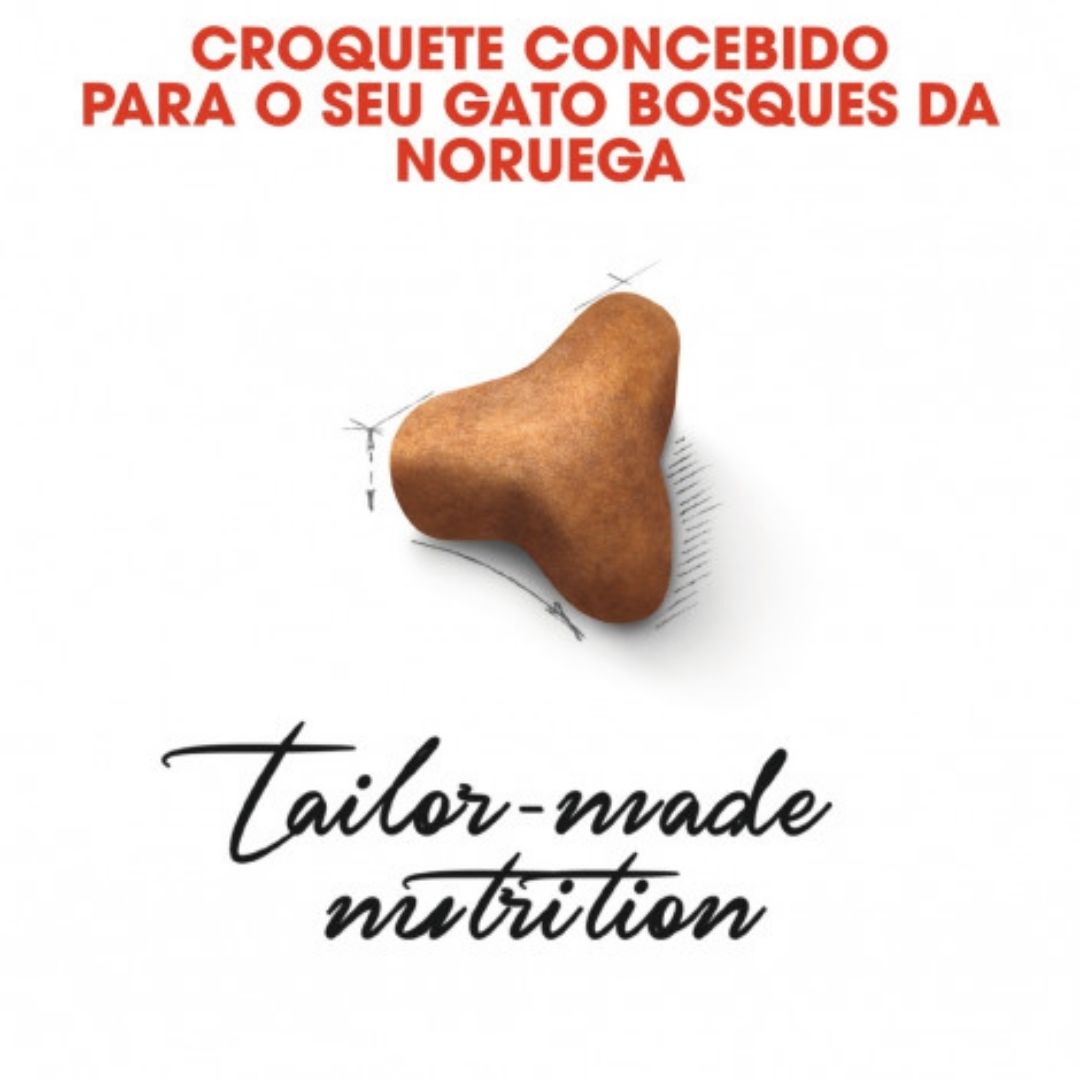 RCNOR2KG