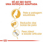 RCNOR2KG