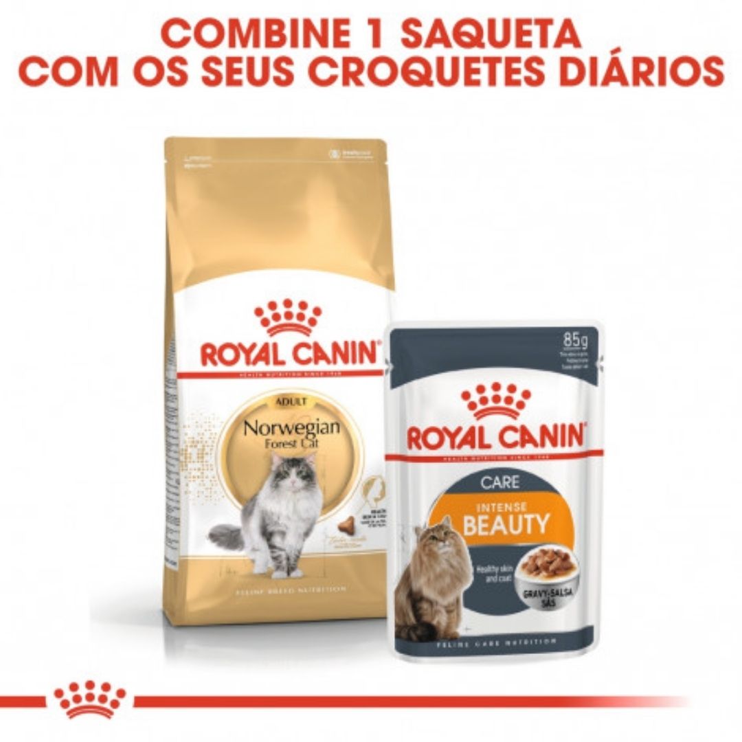 RCNOR2KG