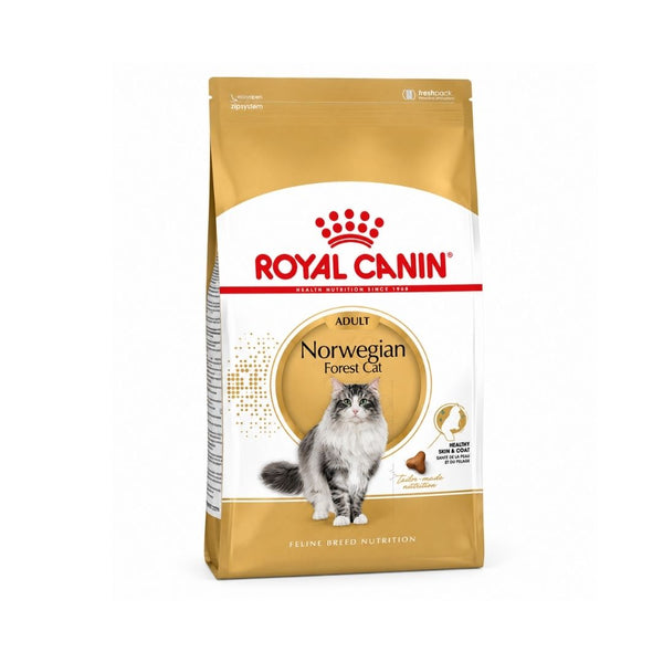 Royal Canin Norwegian Forest Cat - Alimento seco para gatos Bosques da Noruega adultos