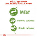 RCOUTDOOR002