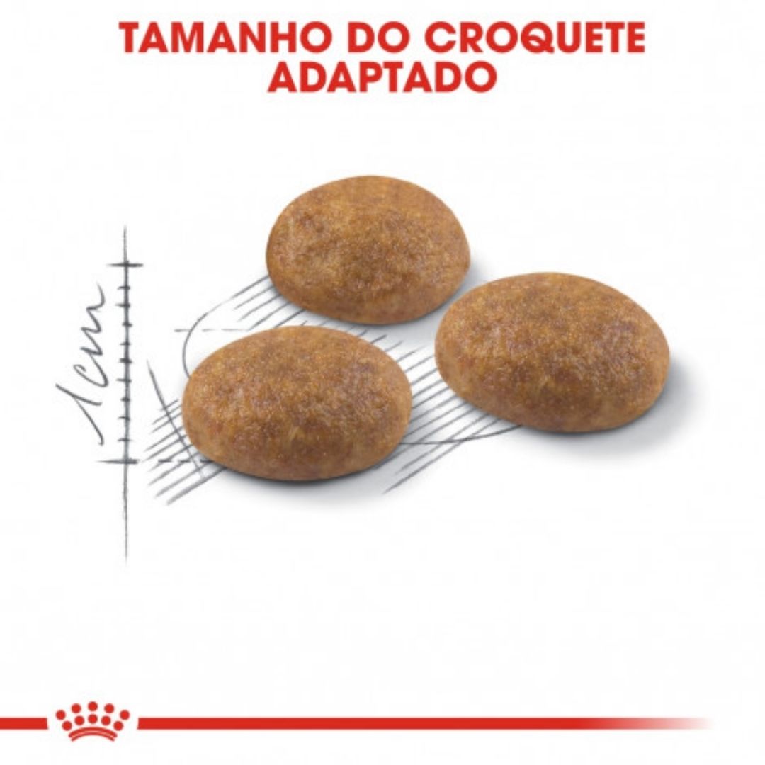 RCOUTDOOR002