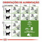 RCOUTDOOR002