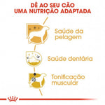 RCPOOD015