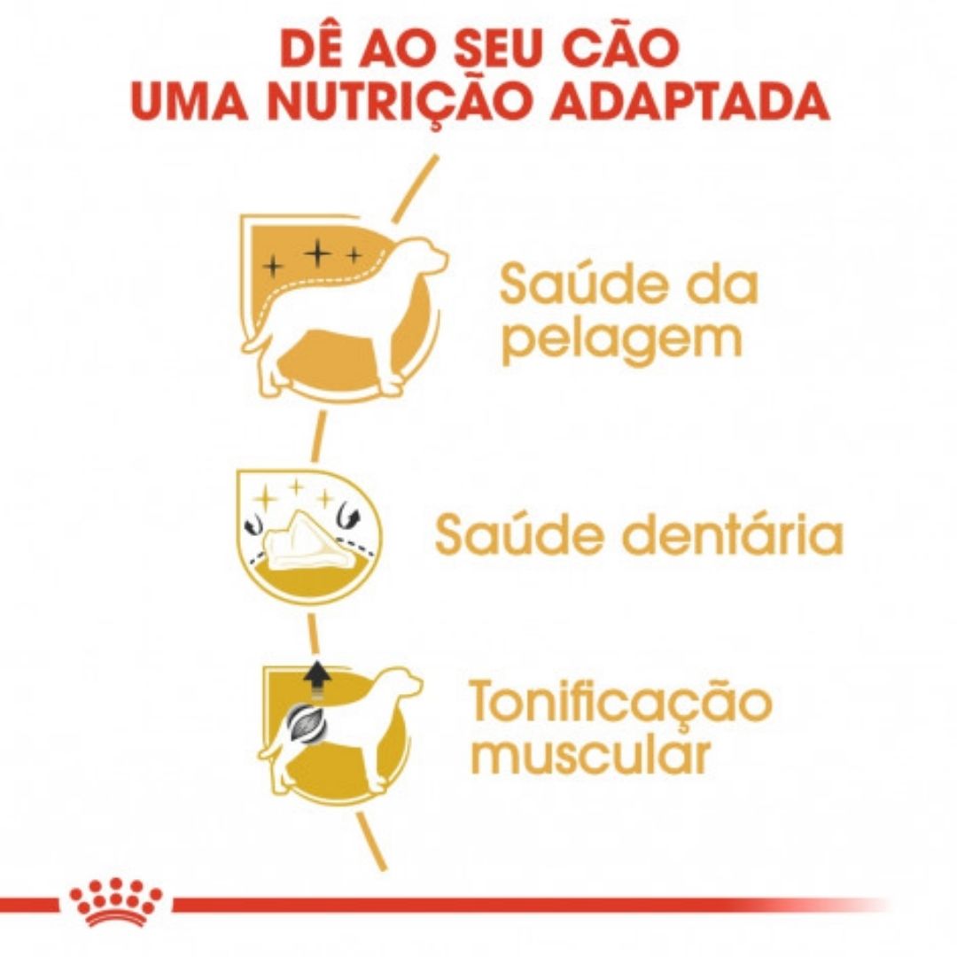 RCPOOD015