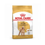 RCPOODLE075