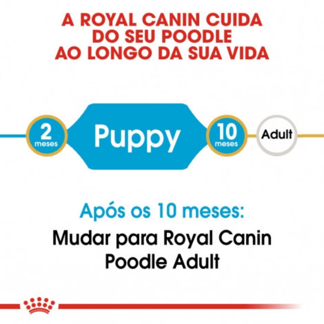 RCPOOJ3