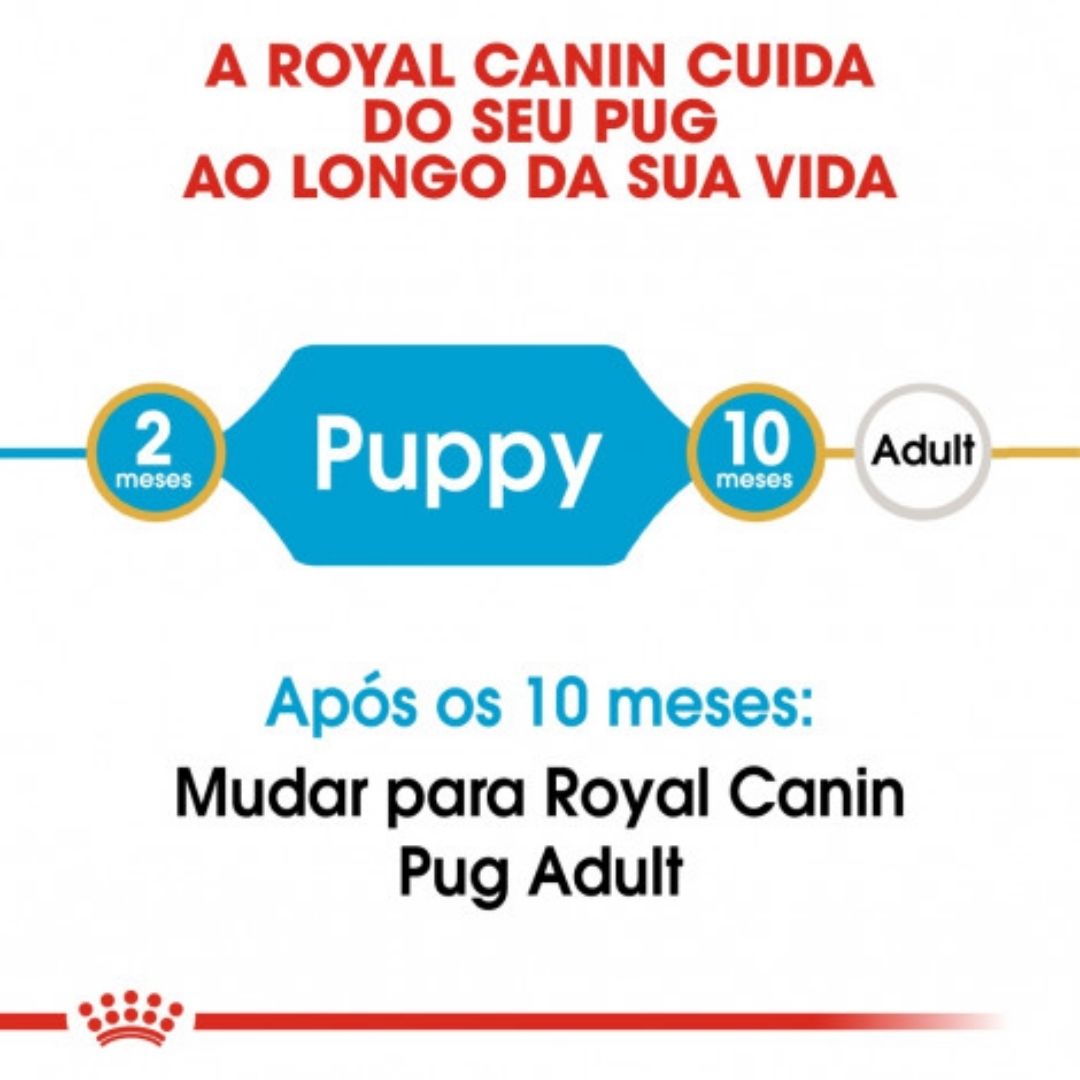 RCPUG1,5