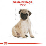 RCPUG1,5