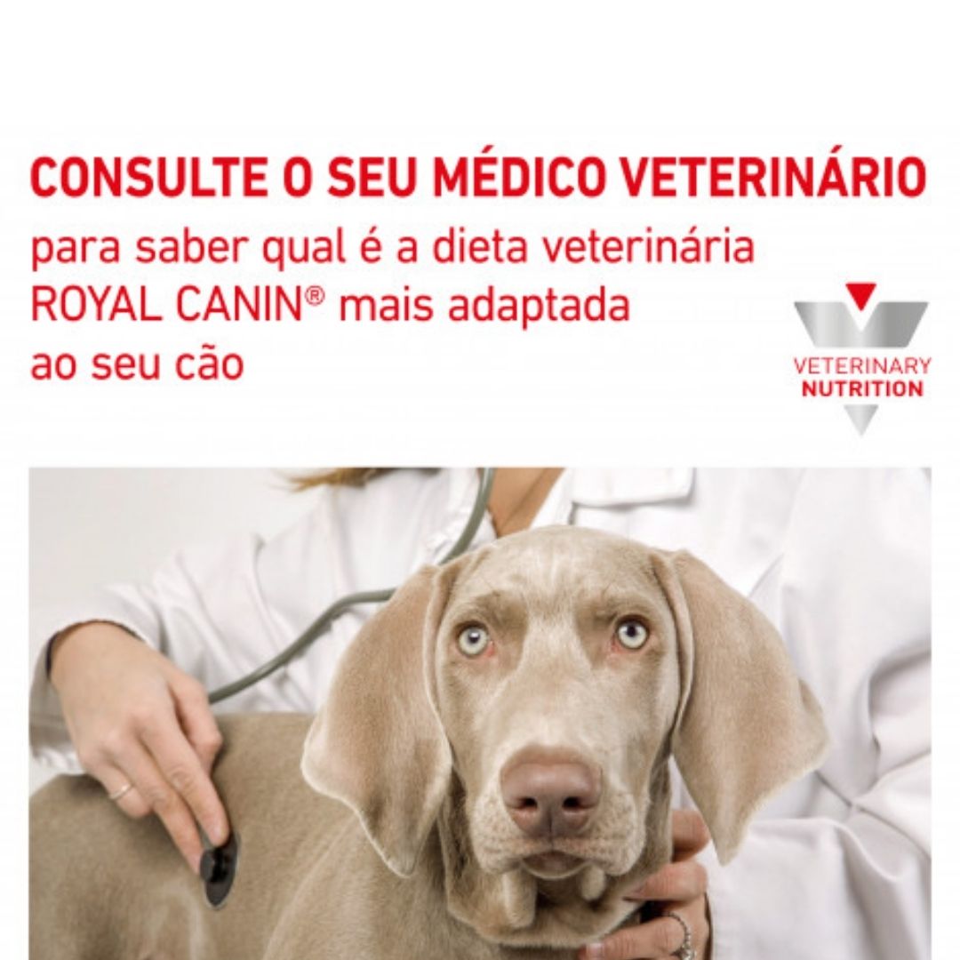 RCRENAL41