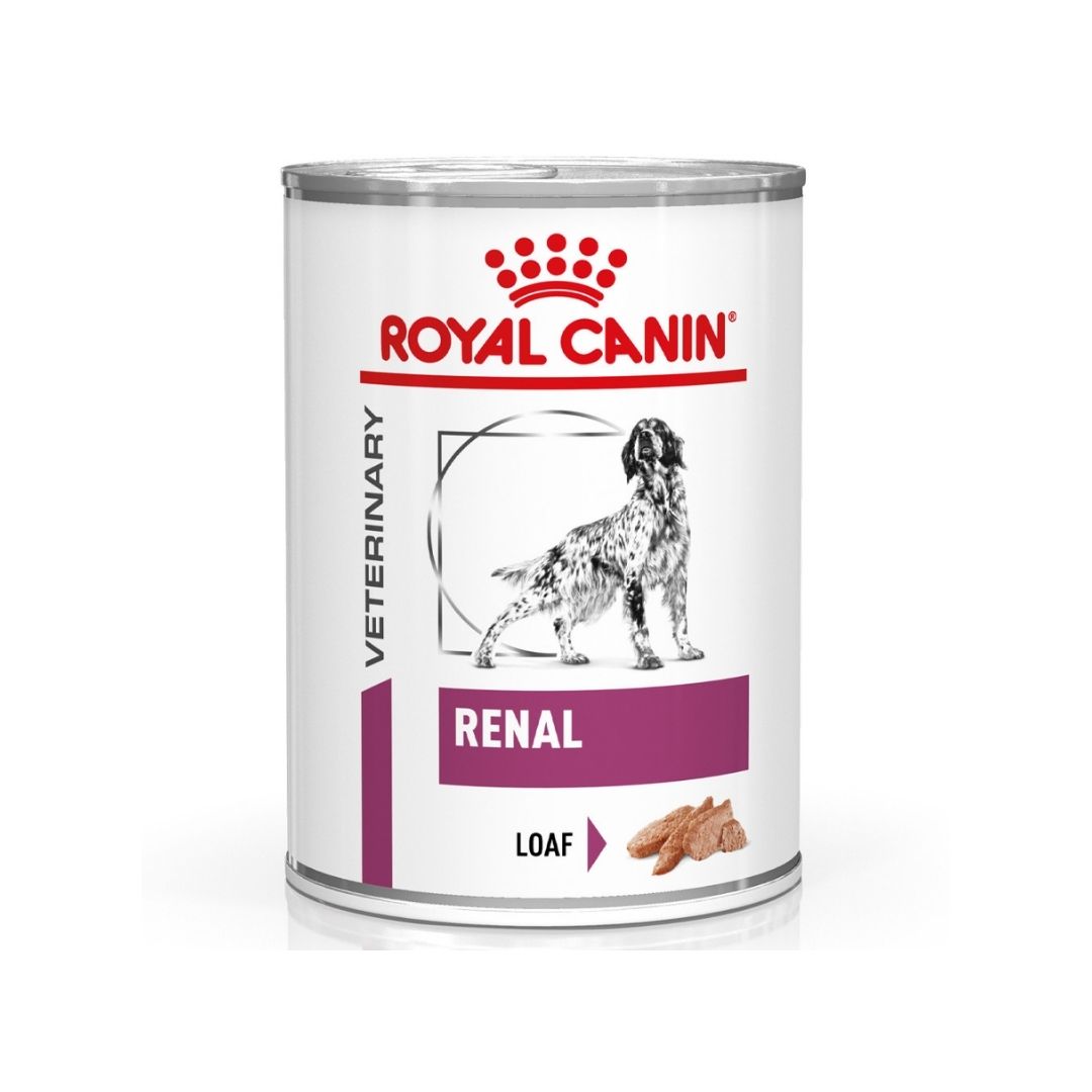 RCRENAL41