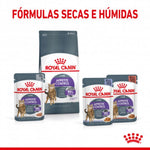 RCSAC0400