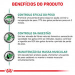 RCSAFE1,5