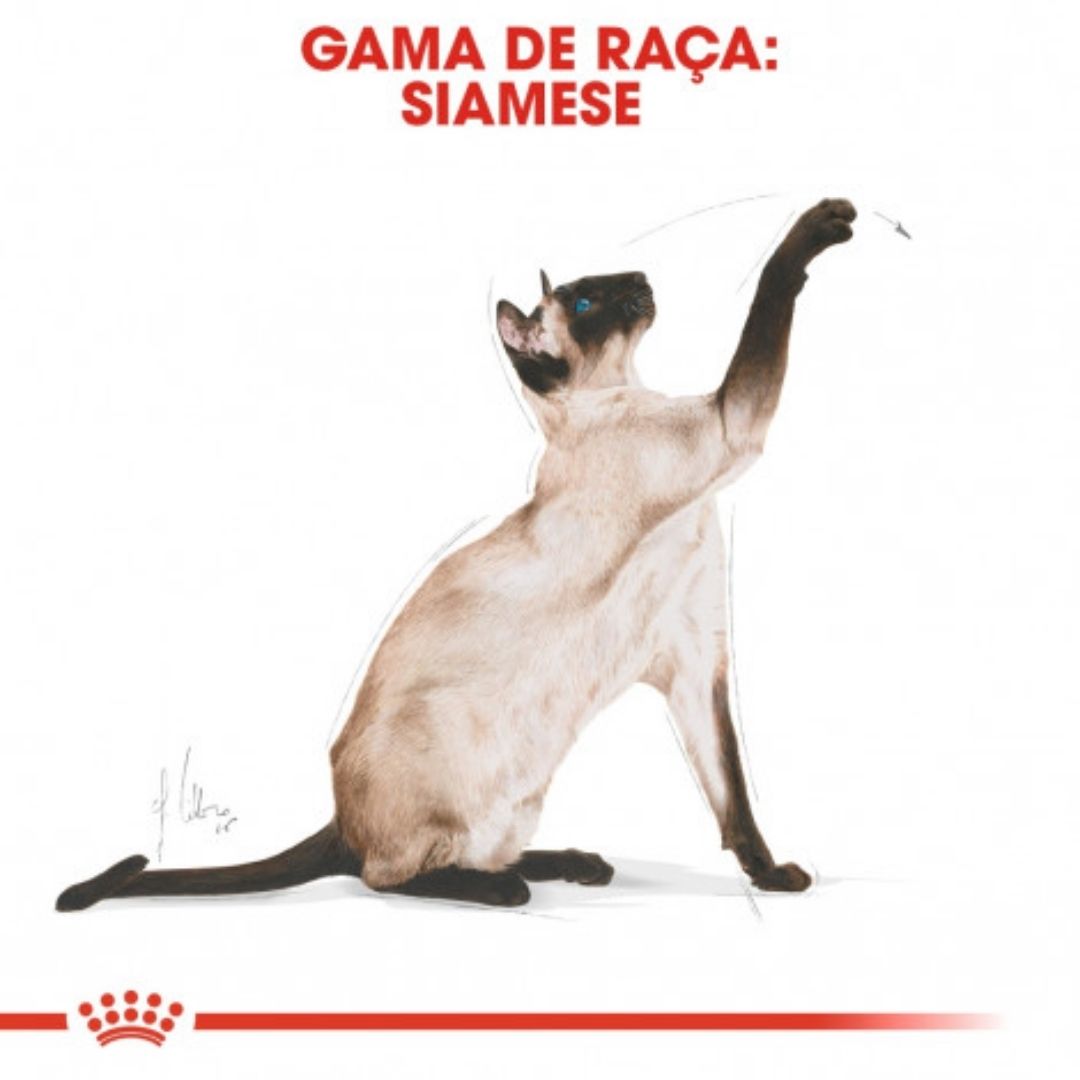 RCSIAMESE002