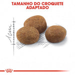 RCST70400
