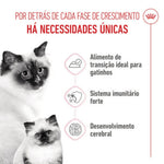 RCSTBAINS