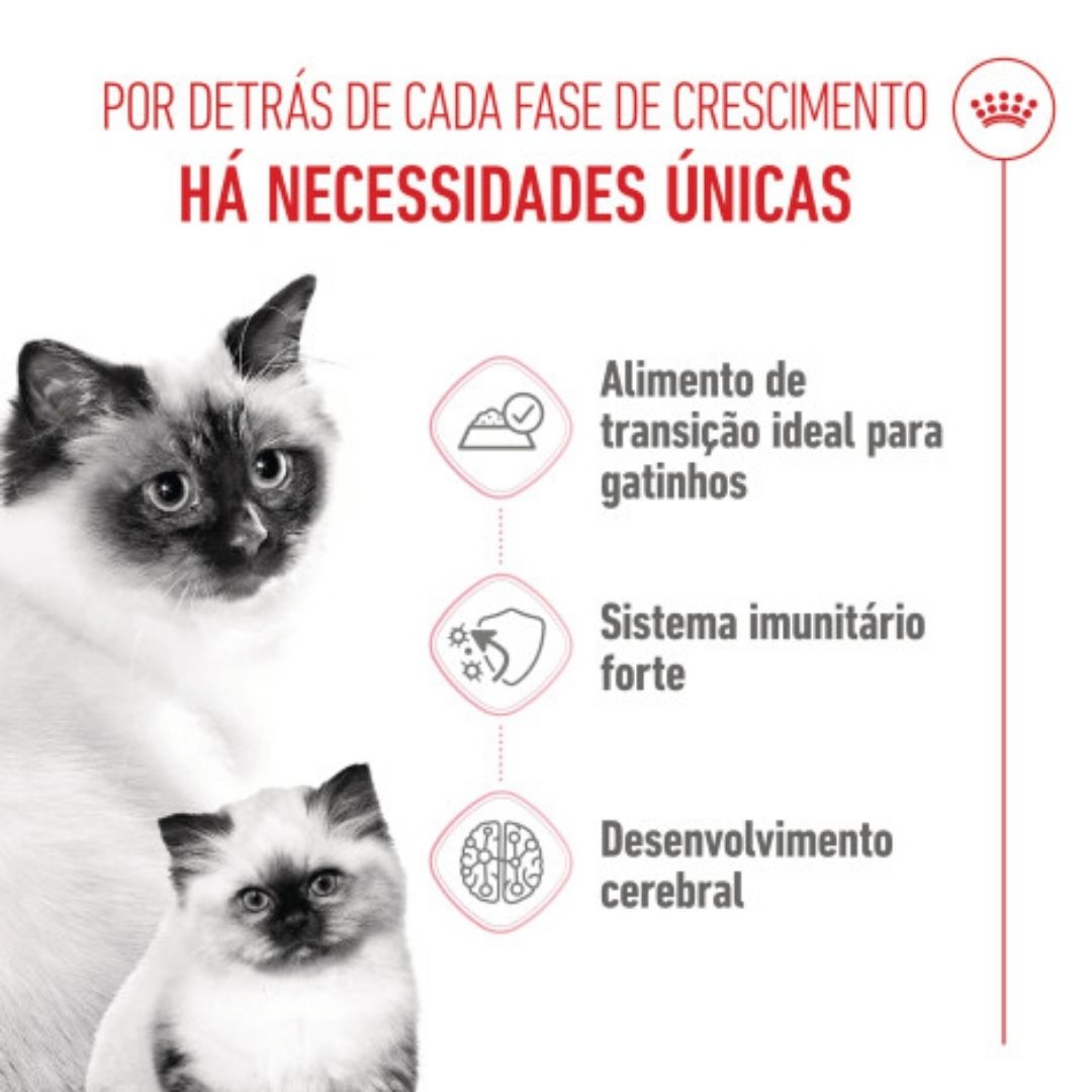 RCSTBAINS