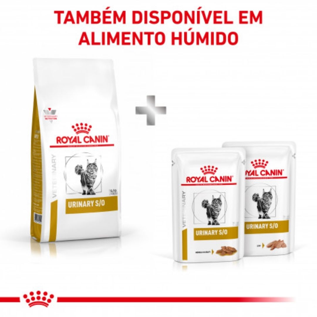 RCURISO4