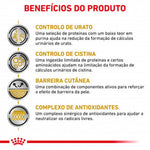 RCURIUC14